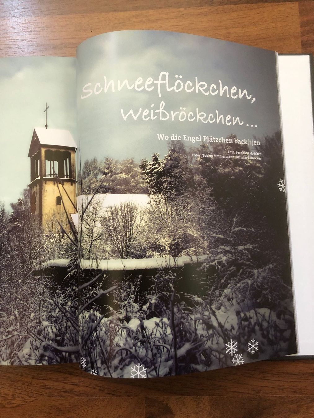 Libri: Hoeckers Entdeckungen, Lost Places – Usato da Aarau venduto da R-O-G-E-R 3