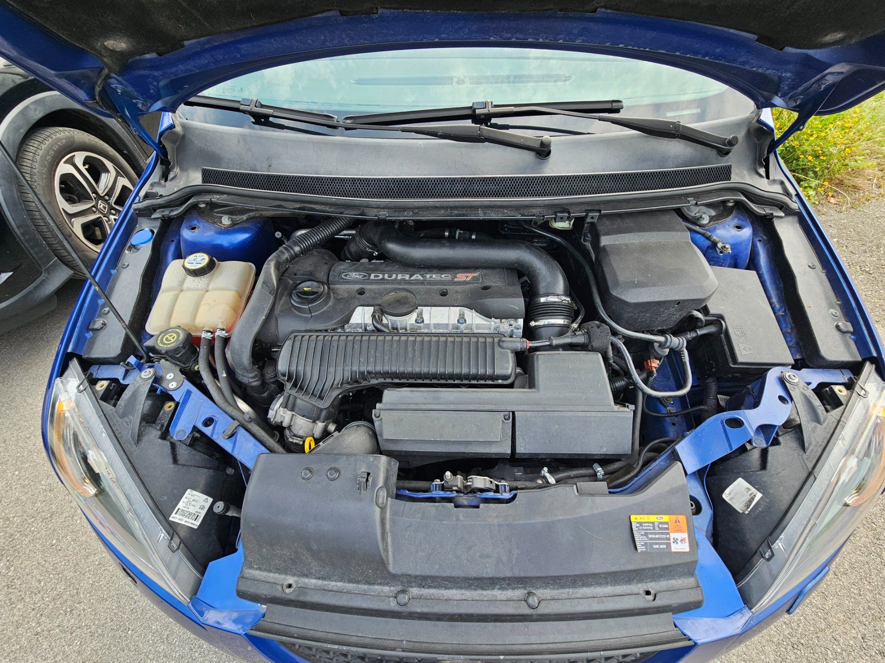 Ford Automobili: Ford Focus ST II, 2006, EXPERTISÉE 03.2025 – Usato da Sommentier venduto da Sylio__tu.13 7