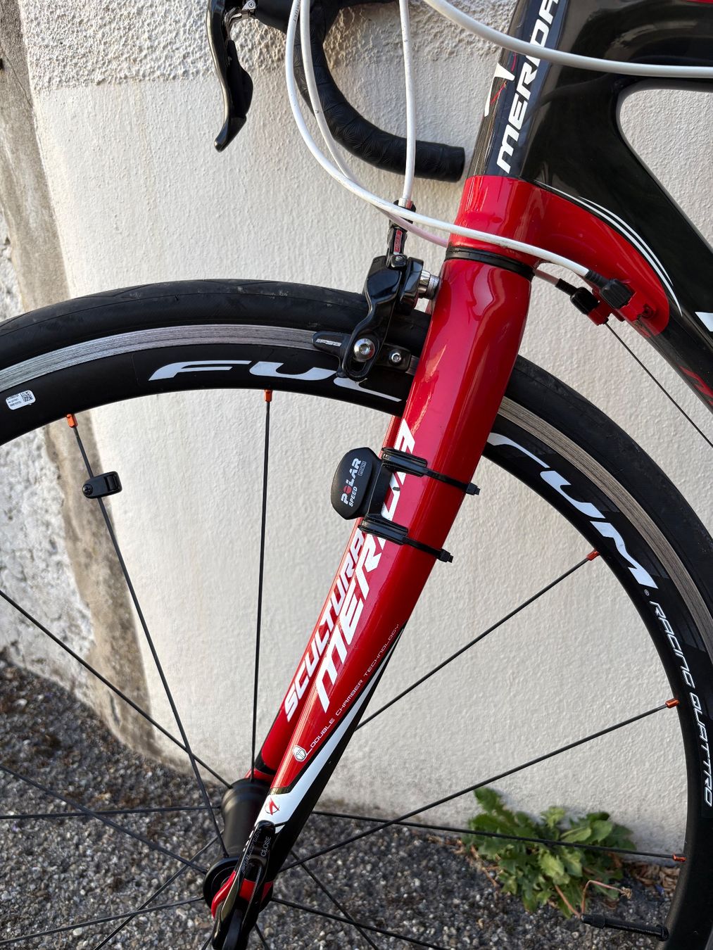 Merida Biciclette: Merida Scultura EVO 905 tout carbone – Usato da Courroux venduto da freleche 6