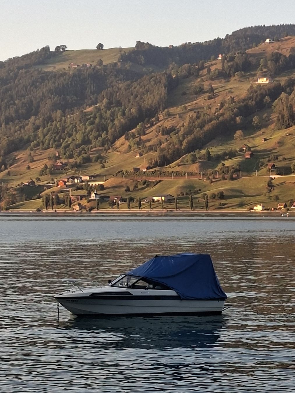 Nidelv Bateaux: Nidelv Mercruiser 170 – Défectueux à Brunnen par Hirm1 1