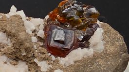 Sphalerite / Dolomite Lincoln Quarry (Beamsville Quarry) CAN