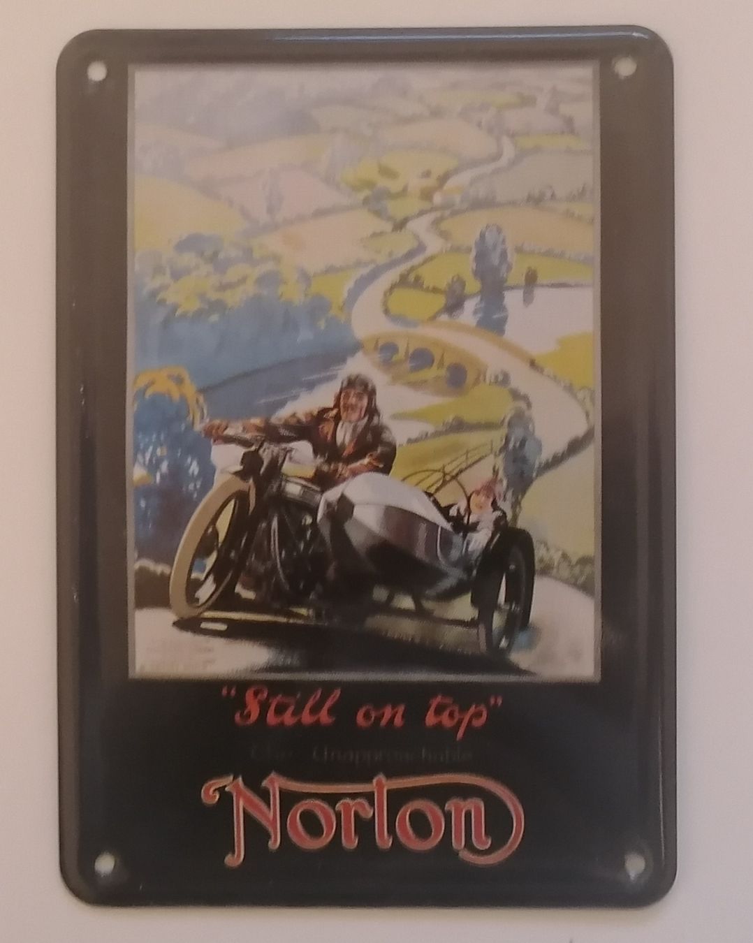 Norton Insegne: Blechschild Norton 14,5 x 10 cm – Usato da Schwarzenegg venduto da musi09 1