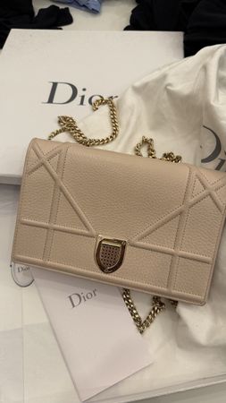 Dior bag 
