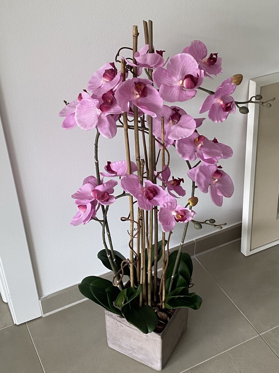 Tutte le decorazioni: Orchidea artificiale 70cm – Nuovo (secondo la descrizione) da Mendrisio venduto da SGR85