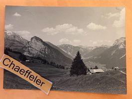 1955 S.C. Stärnebärg Schwarzenberg, Mäniggrat und Niederhorn