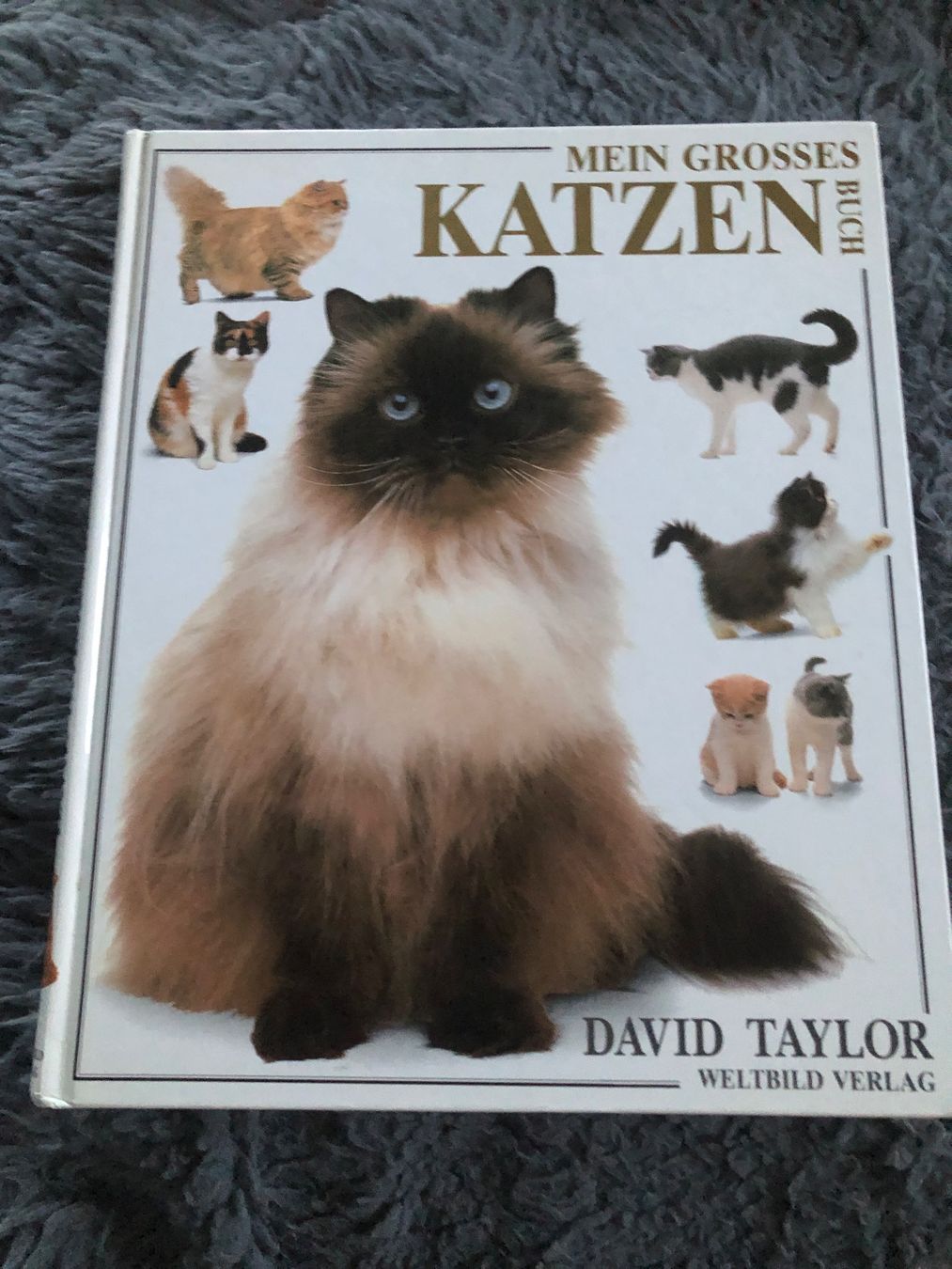 Libri: Mein grosses Katzenbuch – Usato da Hinwil venduto da dadalina76