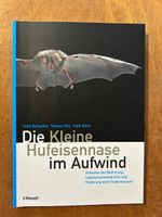 Die Kleine Hufeisennase im Aufwind