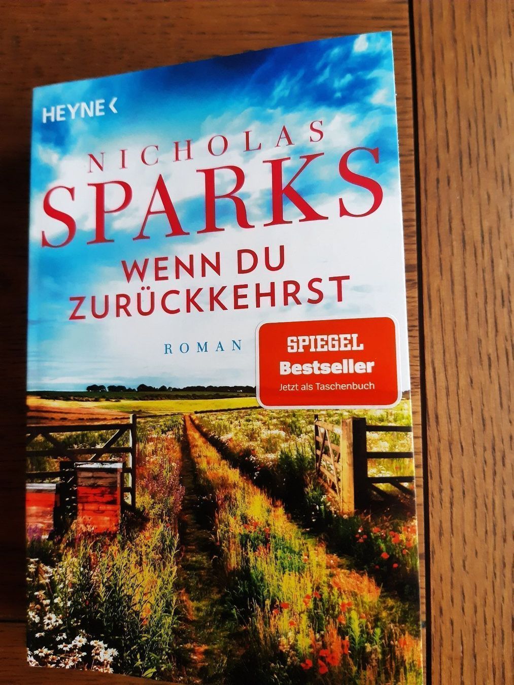 Bücher: Div. Taschenbücher Bestseller – Gebraucht aus Pieterlen von Dyui