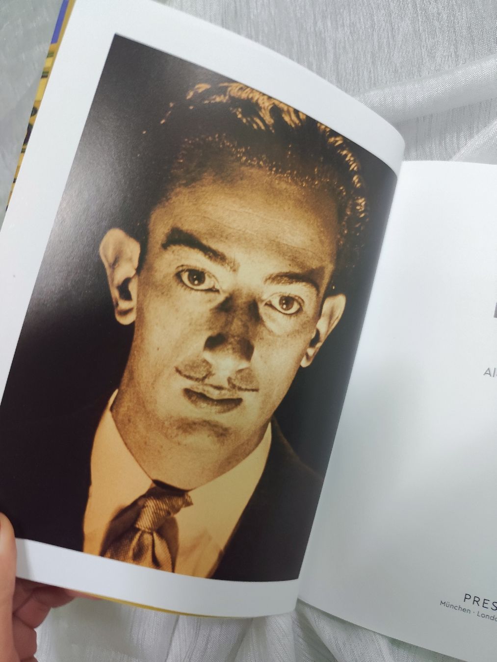 Libri: Dali Art Book - Beautifully Illustrated  – Usato da Mägenwil venduto da VintageGirly 4