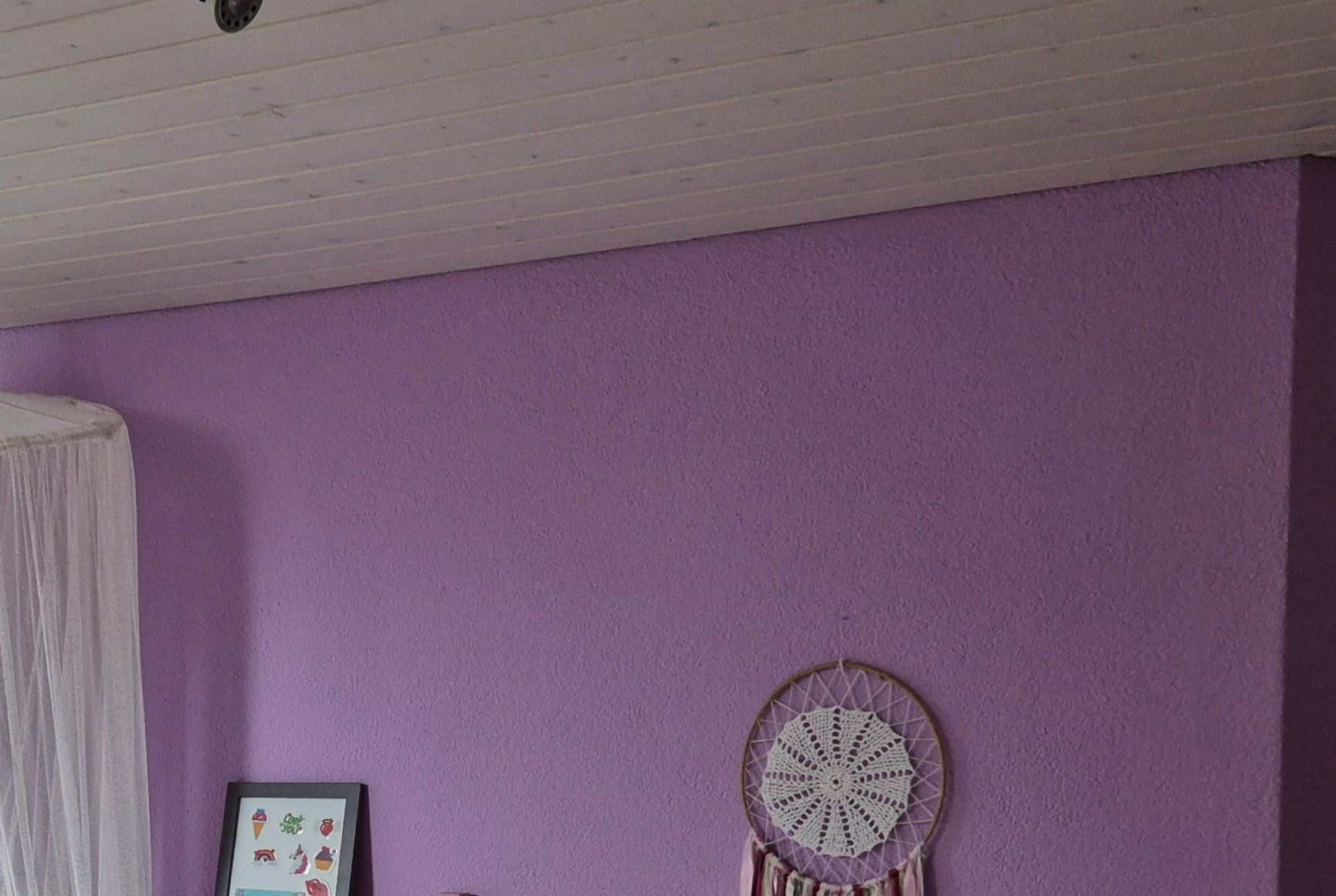 Colori: Wandfarbe viollet / lila ca. 2.5l – Usato da Roggwil TG venduto da dangehrn
