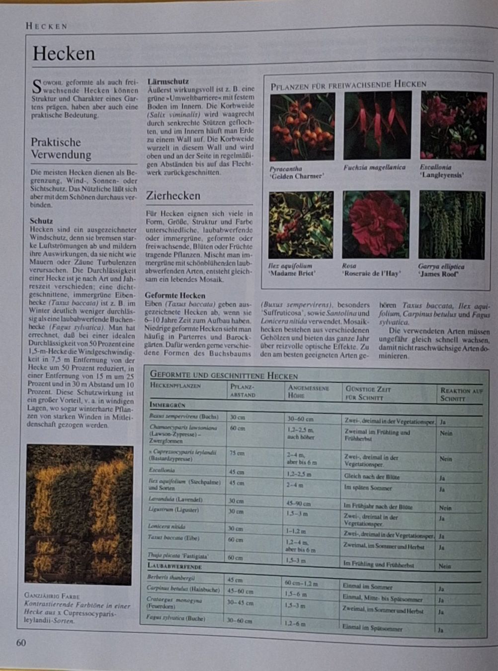 Libri: Buch Garten Enzyklopädie Dumont1994 – Usato da Oberriet SG venduto da Atir47 8