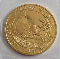 Somalia Elefant  Goldmünze  2019
