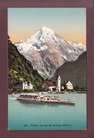 FLÜELEN - Schiff URI - Bristenstock