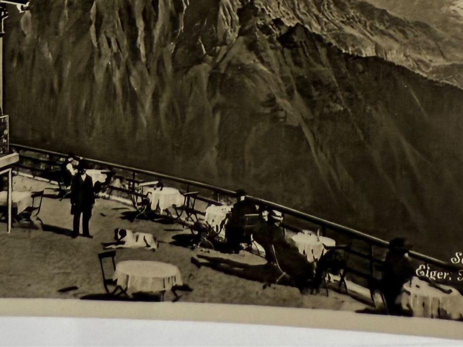Cartoline postali: SCHYNIGE PLATTE  - Terrasse  - Jungfrau Eiger, Mönch - 1935 – Usato da Lutry venduto da Ediego 1