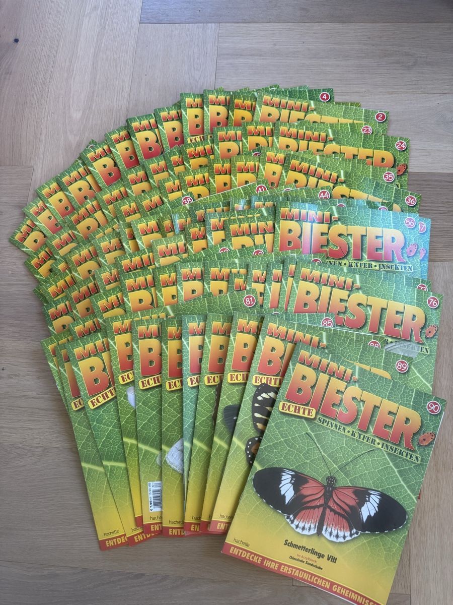 Zeitschriften & Magazine: Mini Biester Hefte mit Giessblöcken – Gebraucht aus Grenchen von Bastet007