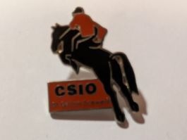 Ansteckpin 136: CSIO
