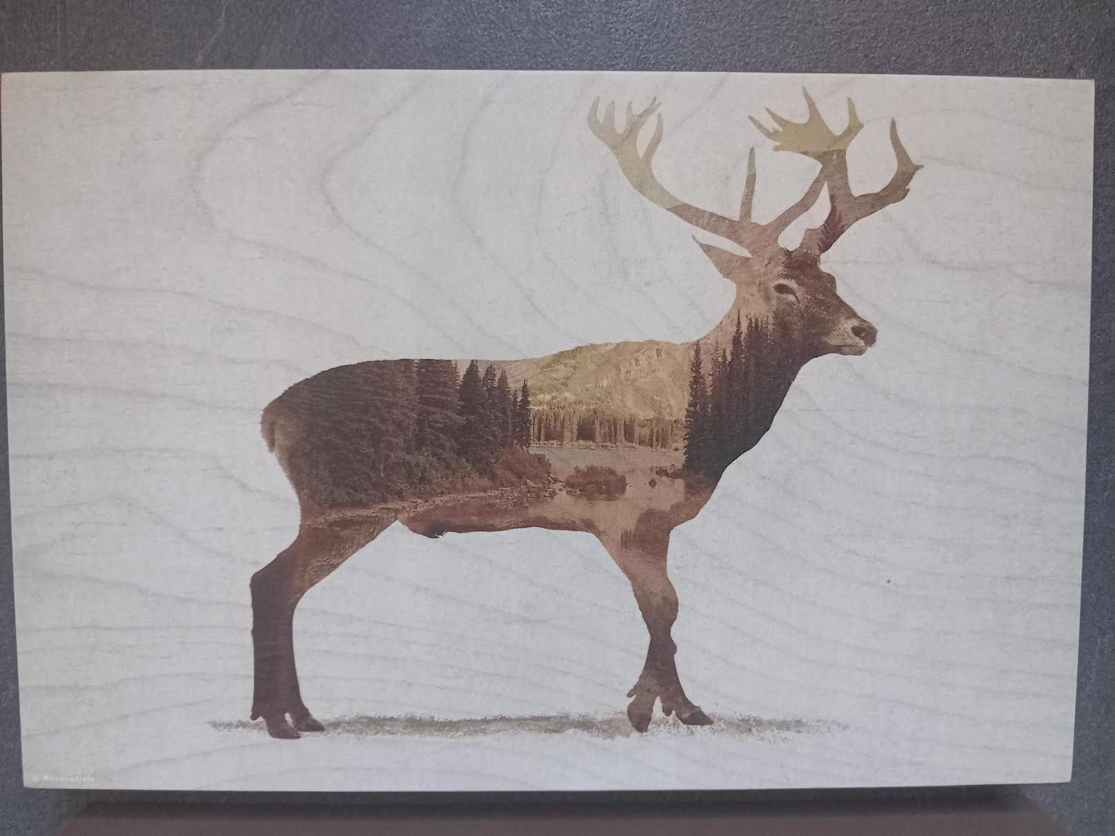 Foto & Immagini: BJÖRNAMO Wilde Tiere Ikea Bär & Hirsch Set – Usato da Salez venduto da Robe12 1