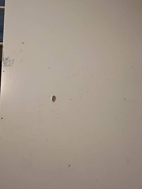 Scrivanie: Ikea Schreibtisch  – Usato da Diepoldsau venduto da sim_8mcg 4