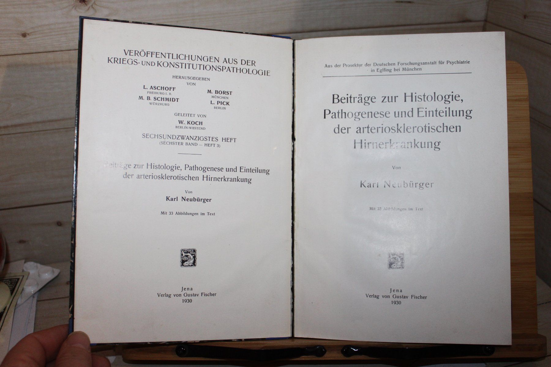 Libri: Beiträge zur Histologie, Pathogenese und Einteilung – Usato da Kaden venduto da Buchantiquariat 1