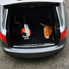 Profile image of Audi100ls