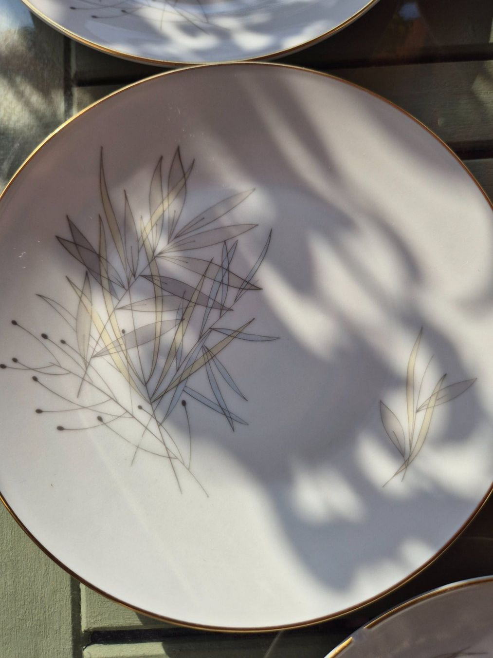 Rosenthal Geschirrsets: Kaffeeservice Rosenthal "Gräser, "Form 2000, Design 50er – Gebraucht aus Bern von aronari 8