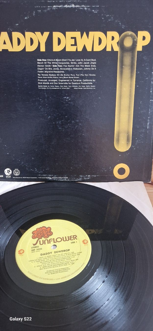Dischi in vinile: Daddy Dewdrop – Daddy Dewdrop – Usato da Yvonand venduto da RF-VINYL 2