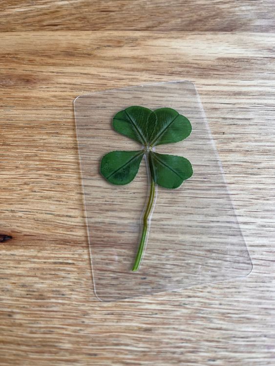 12 Stück St. Patrick's Day Schlüsselanhänger – 4-blättriges Kleeblatt Mit Hufeisen, Glücksgeschenk