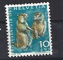 1965 - PJ / Einh. Wildtiere / Murmeltier
