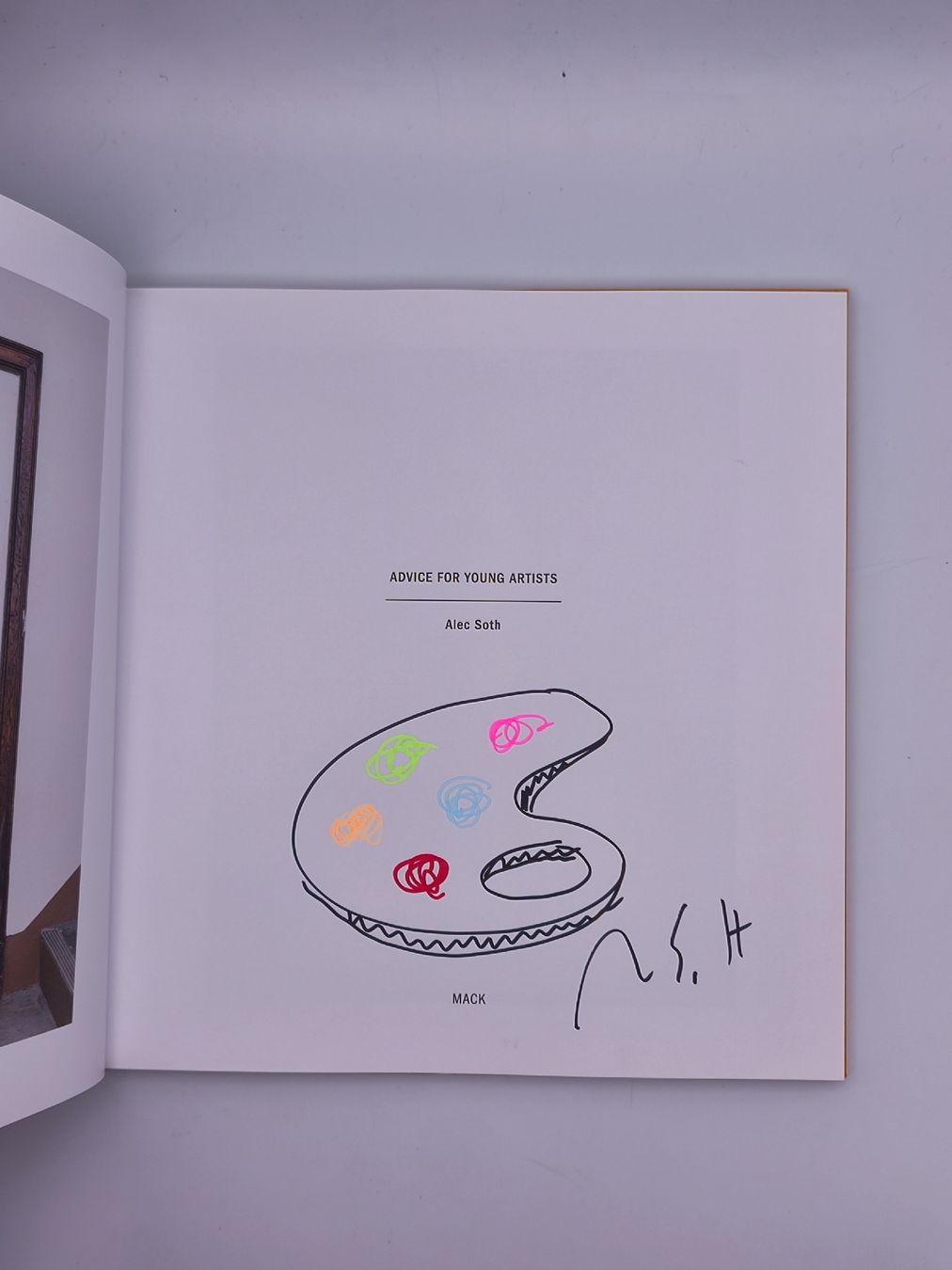 Libri: PHOTOBOOKS - ALEX SOTH - WIDMUNG – Usato da Goldach venduto da Gaip 1
