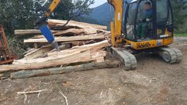 Kegelspalter Holzspalter Bagger 1.100ccm