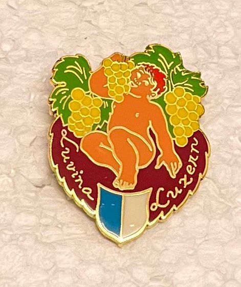 Placchette & Badge: Pin Simone Erni - Luvina Luzern – Usato da Obernau venduto da Wgnom