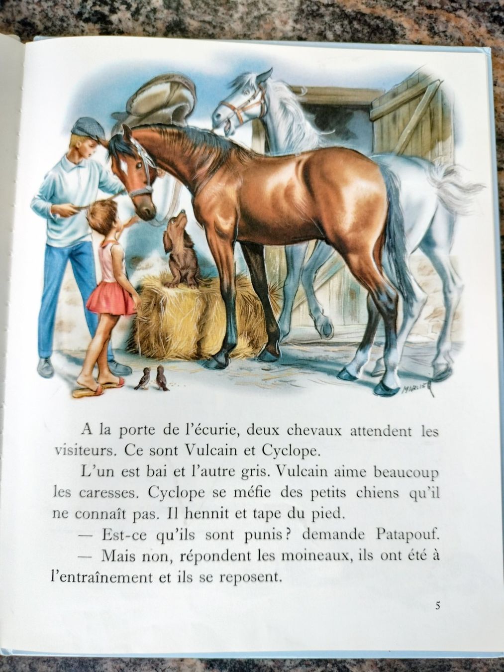 Libri: Martine monte à cheval – Usato da Cortaillod venduto da rozinna 2