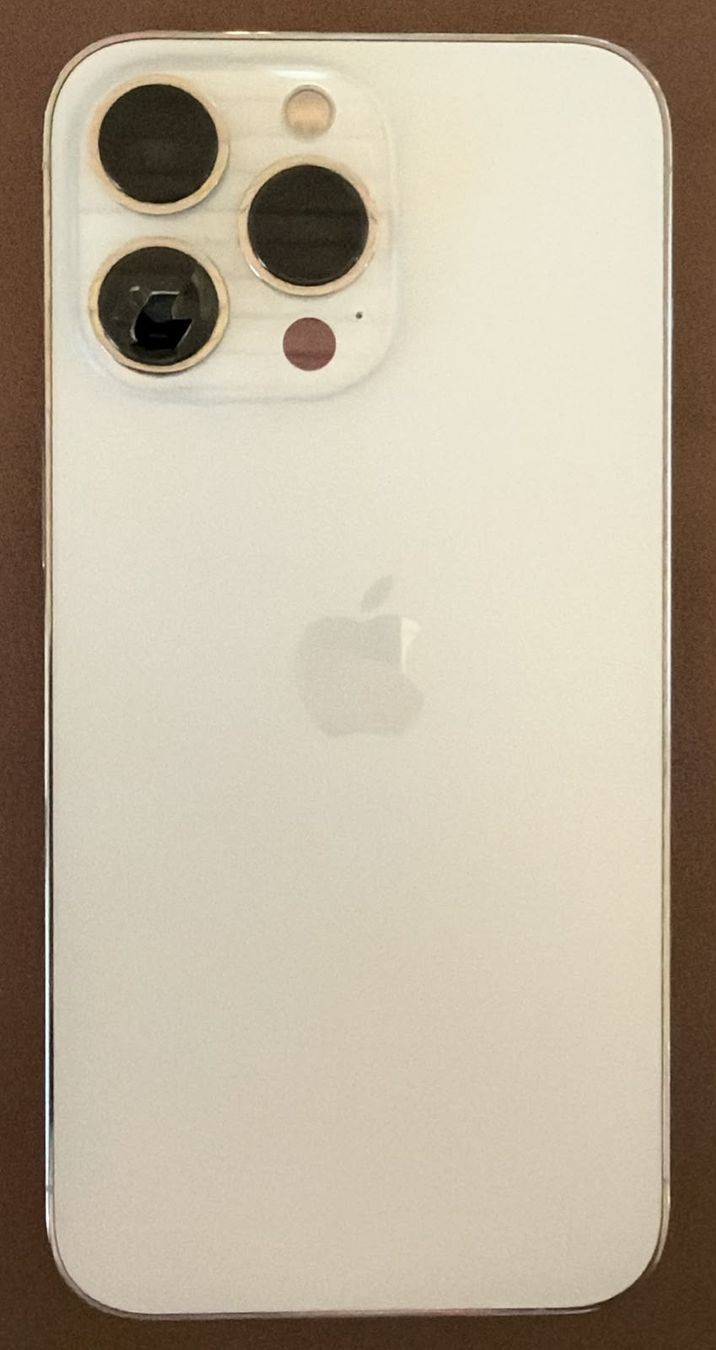 Apple Telefoni cellulari / Smartphones: iPhone 13 Pro 128GB - Kameraschaden – Usato da Baar venduto da MoonLanding 1