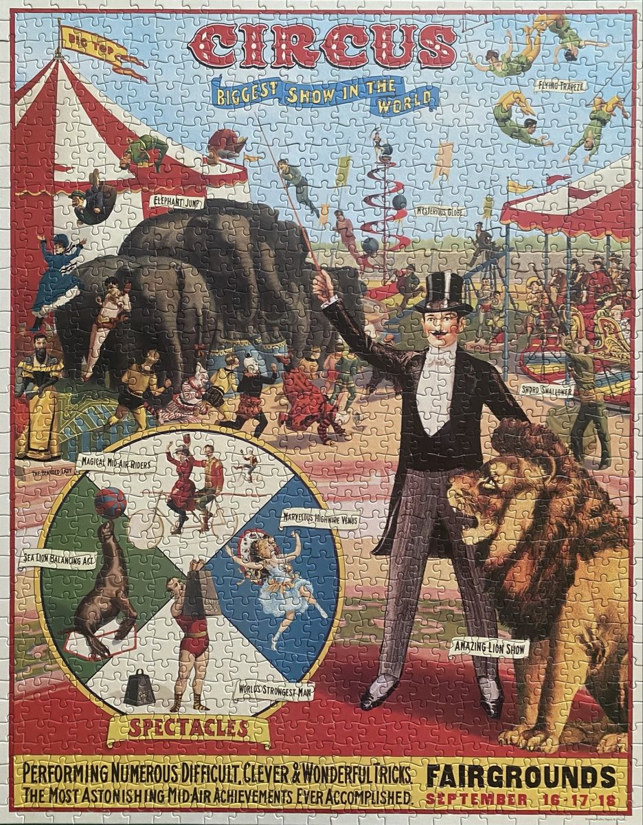 Puzzles: Puzzle 1000 Teile – D'occasion à Malters par Lila-Nissie 1