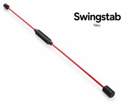 Schwing Stab • wie Flexibar • Workout Training Reha NEU