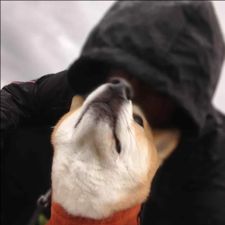 Profile image of Cill_ian
