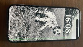 iPhone 15 Schwarz, 128 GB - Bildschirm & Kamera defekt