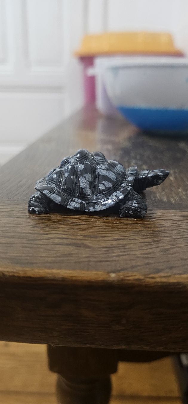 Statuette: Tortue obsidienne vintage – Nuovo e nell'imballaggio originale da Lausanne venduto da Delaquinta88 2