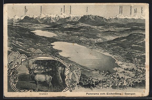 Cartoline postali: Seengen, Hirsch im Hirschpark, Panorama  – Usato da Berlin venduto da bartko-reher