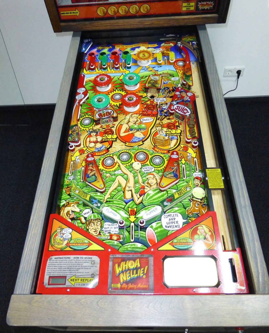 Flipper: whoa nellie – Usato da Mattstetten venduto da Reuanezam 2