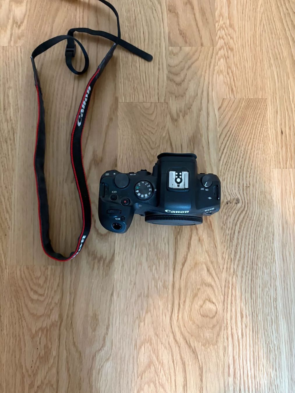 Canon Fotocamera: Canon EOS R6 Body – Usato da Steinhausen venduto da lar_xsq9 1
