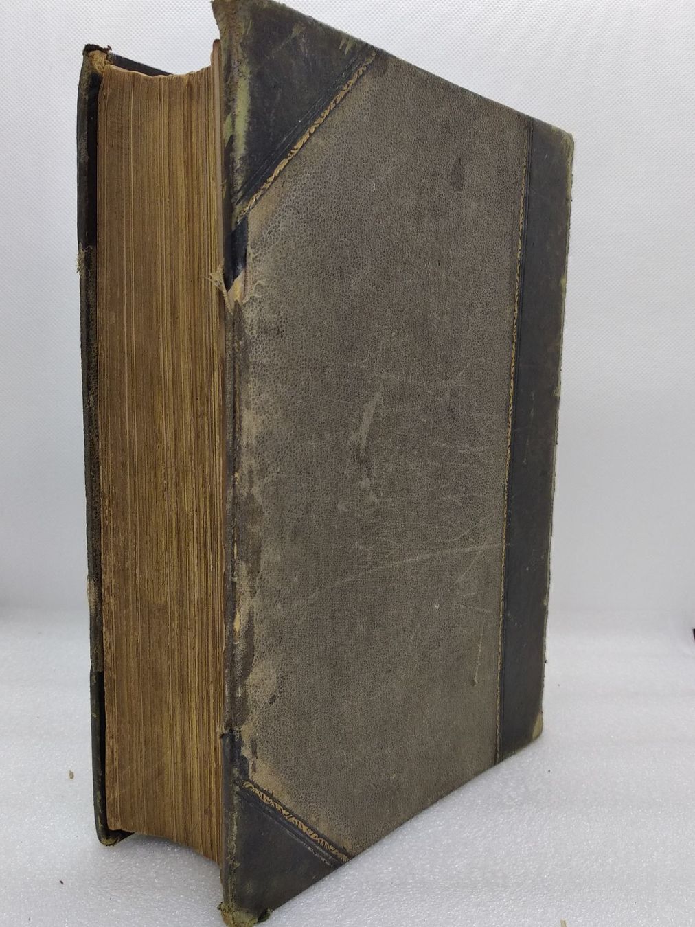 Libri: BOTANIK - THE NEW PRACTICAL GARDENER 1872 – Usato da Goldach venduto da Gaip 9