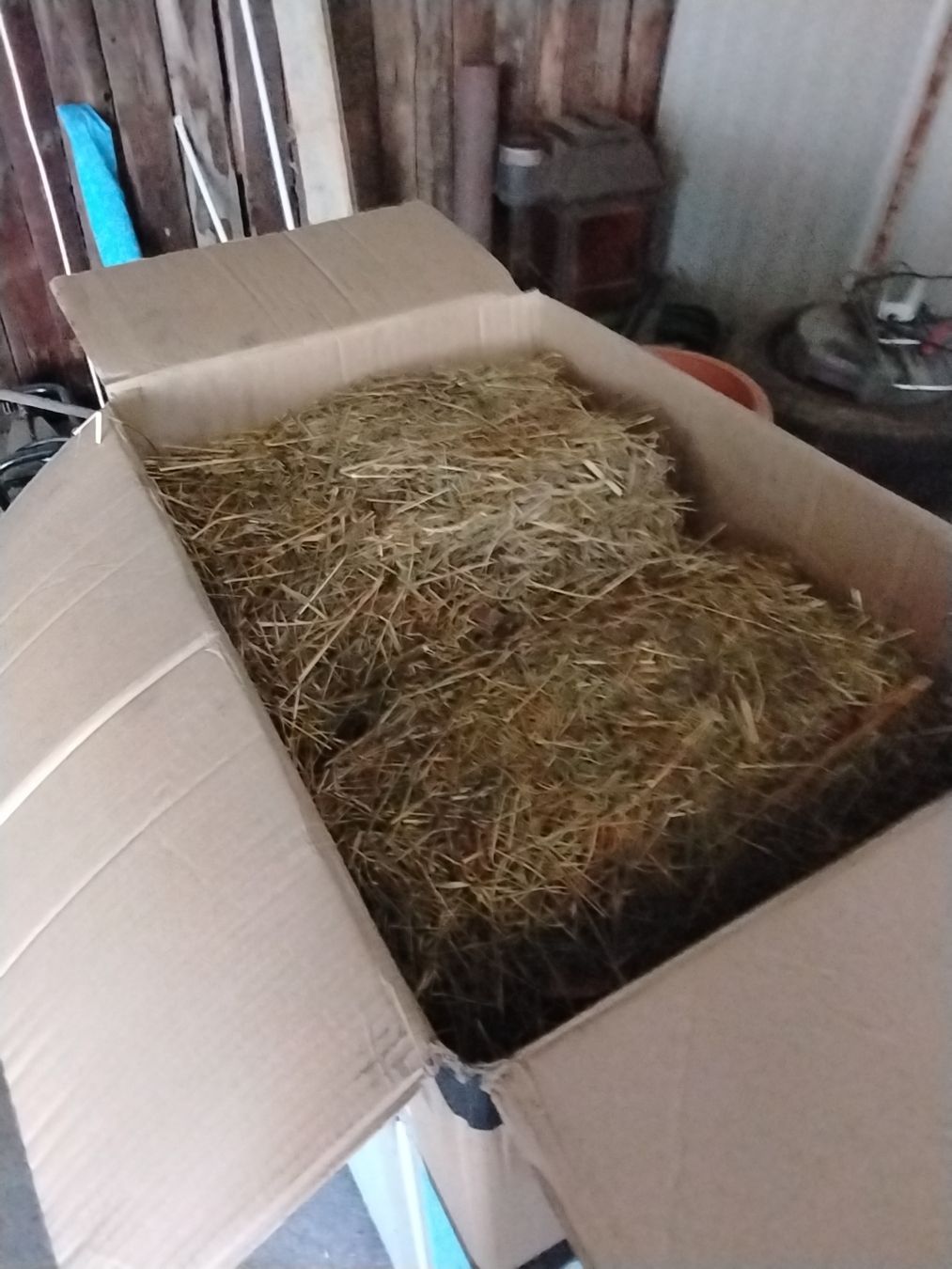Käfige, Transport & Sicherheit: Meerschweinchenstall mit 3 Ebenen – Gebraucht aus Stadel von Nwt 3