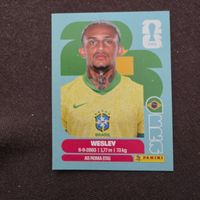Panini Sticker BRA8 Wesley Brasil