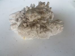 Schöner spezieller Weiss-Beiger CALCIT-STEIN / „Kalkspat“!