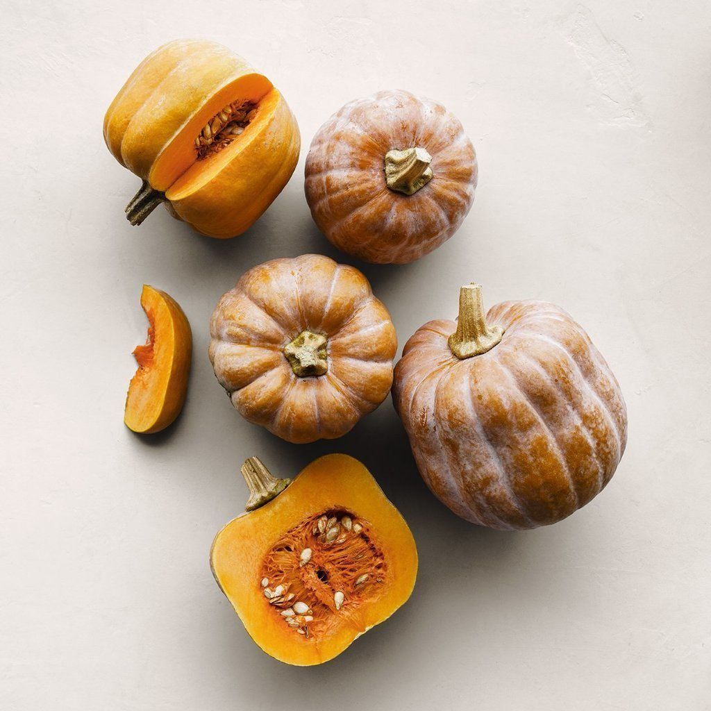 7 Samen AUTUMN FROST Kürbis (Neu (gemäss Beschreibung)) in