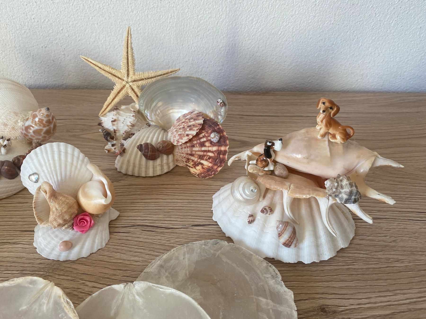 Alle Dekorationen: Dekorative Muscheln – Gebraucht aus Glattbrugg von RD-Shop 2