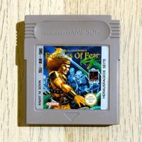 Wizards & Warriors X: Fortress of Fear Gameboy