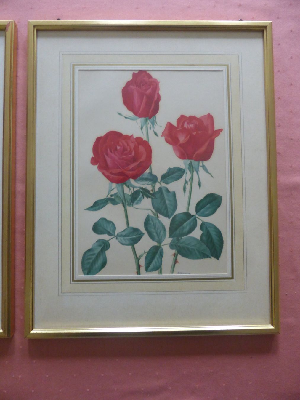 Foto & Immagini: 2 Rosenbilder, gerahmt, – Usato da Triengen venduto da Nussbaum14 1