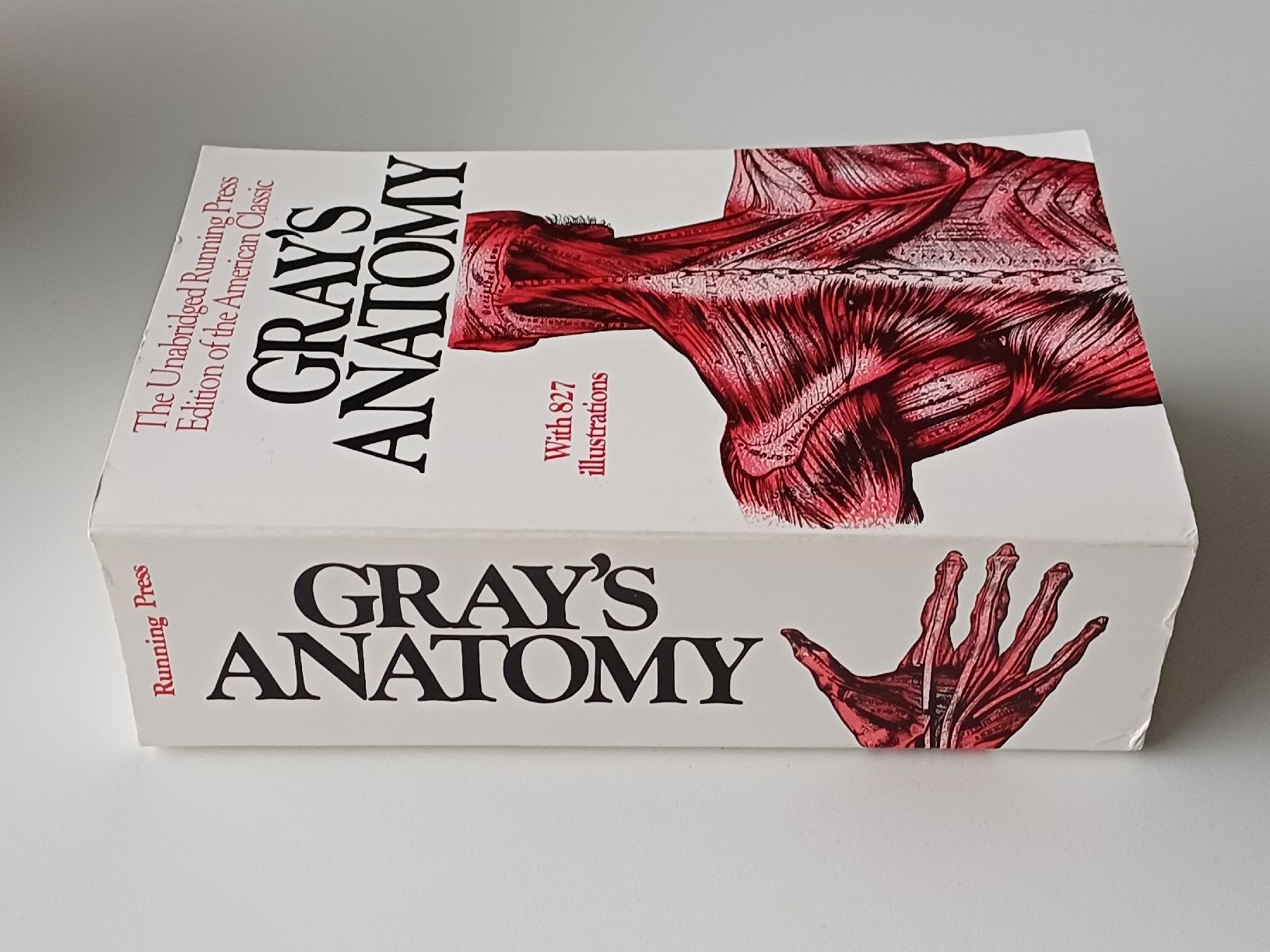 Libri: Gray's Anatomy – Nuovo (secondo la descrizione) da Villars-sur-Glâne venduto da vnd_trs9 1